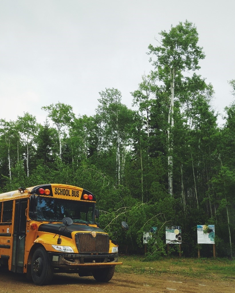 yellow school bus stopped in front of trees