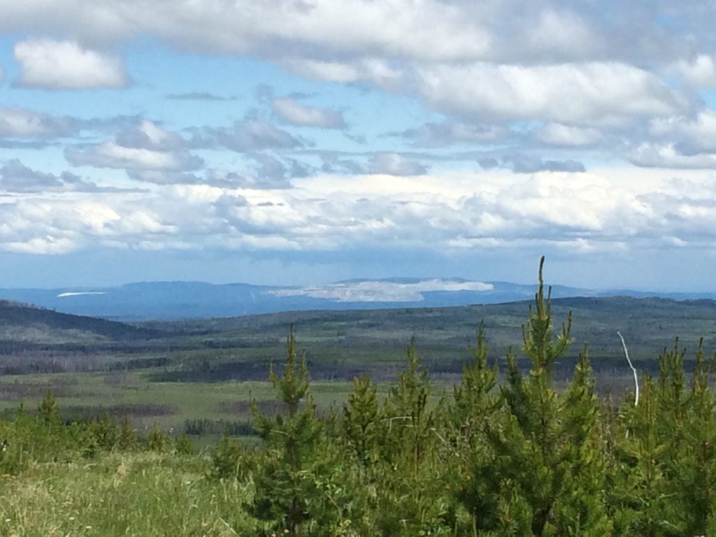 Figure. A view of Taseko Mining’s Gibraltor Mine from one my blocks west of Williams Lake. Some cut blocks are present in the foreground of this image, showing the visual contrast of forestry vs. mining on the landscape.  
