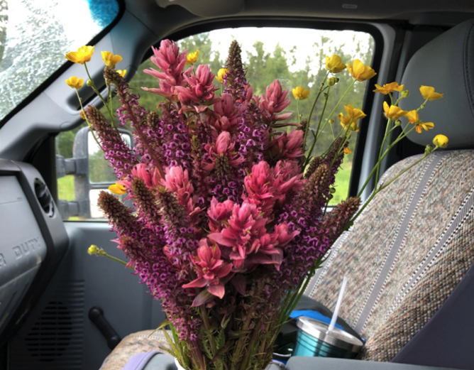 bouquet of pink flowers in a car