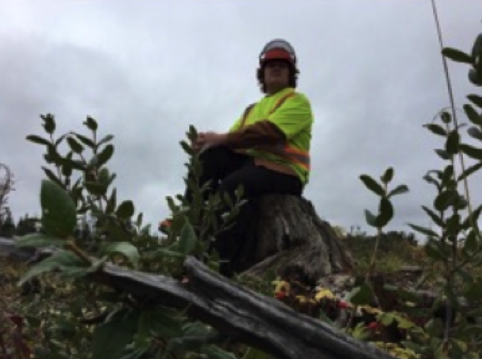 man sitting on tree