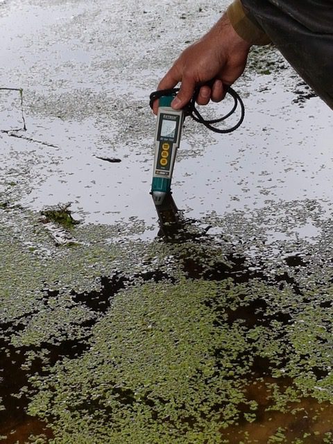 lake with moss with man testing water with digital device