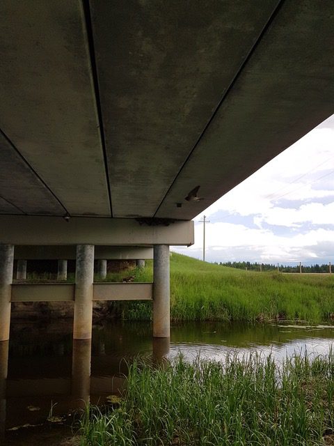 view of water under a bridge