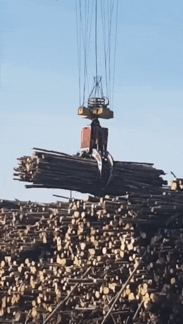 crane dropping hundreds of logs in to pile