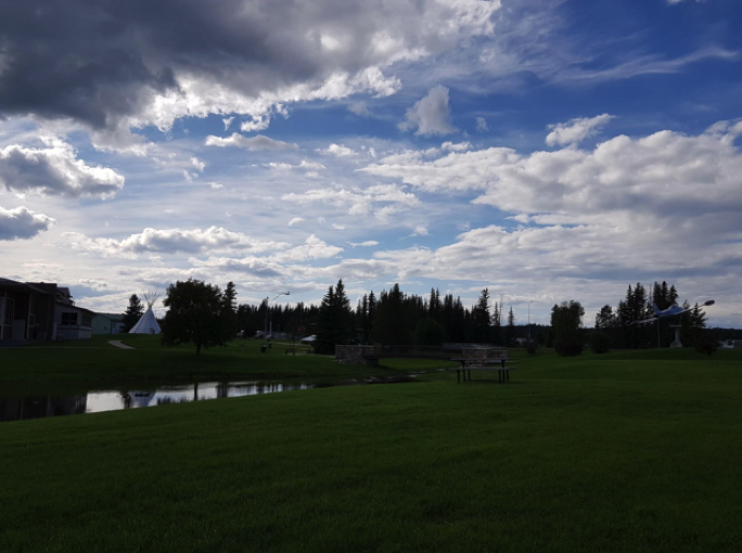 view of field and trees with vibrant cloudy sky