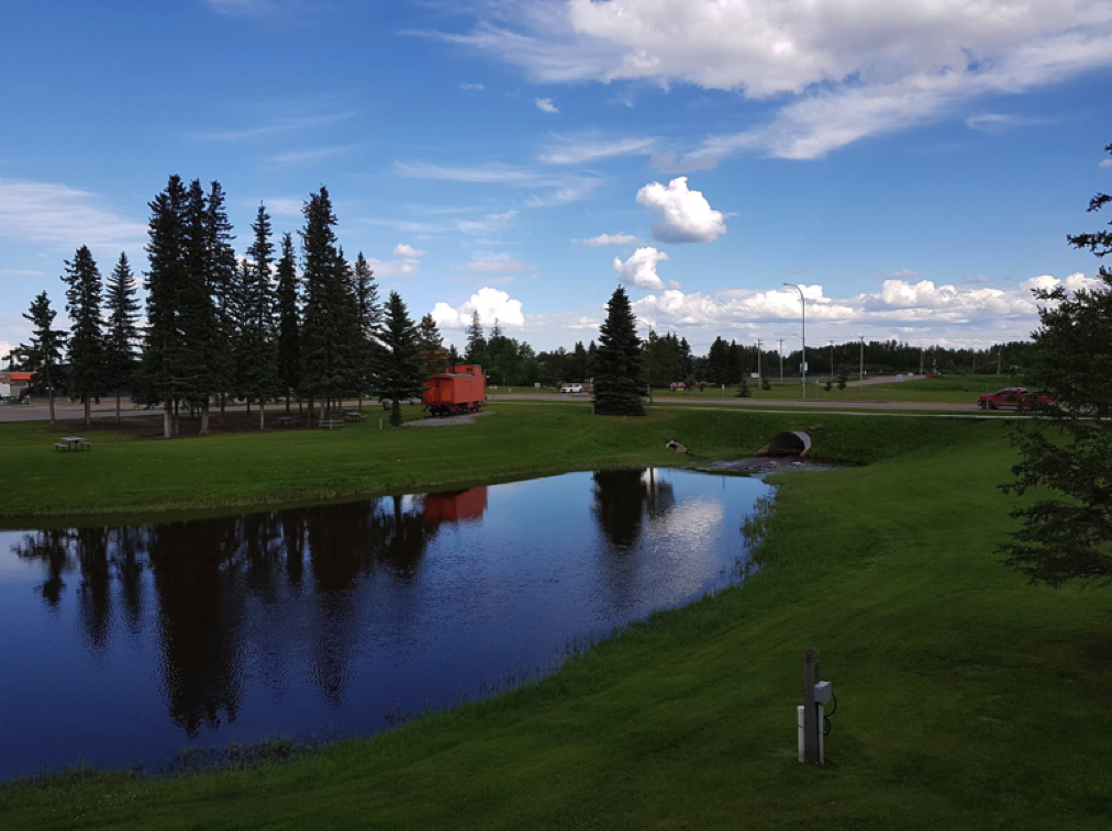 view of field with lake and trees