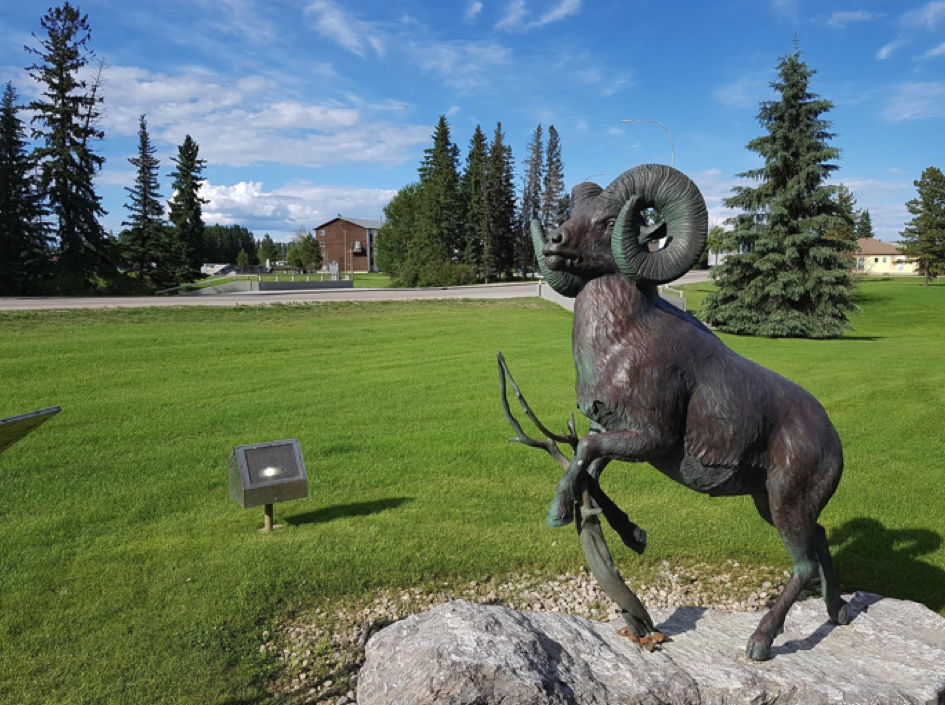 statue of sheep with curled antlers