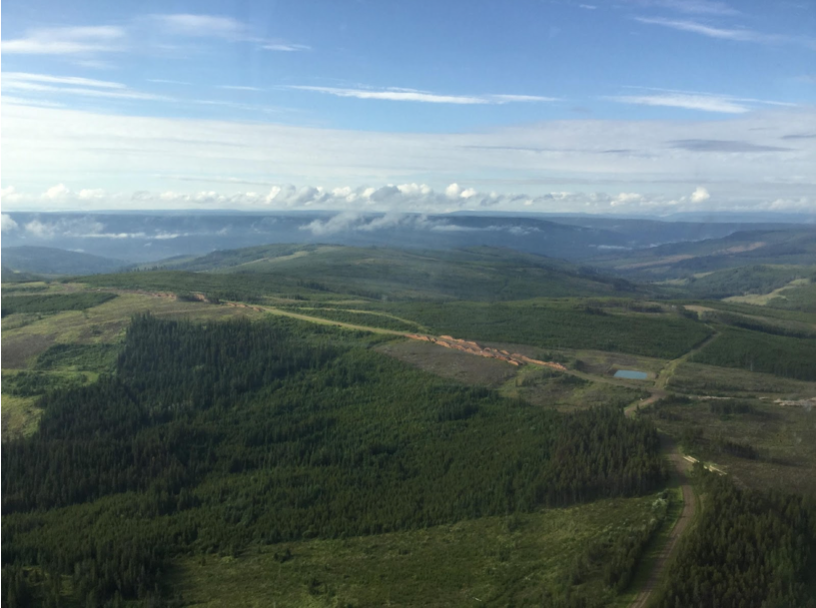 Overview of the forests that are being surveyed. 